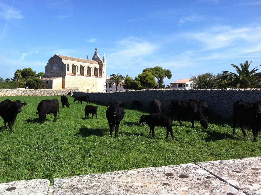 Llucmaçanes Gran Agroturismo Mahón Exterior foto